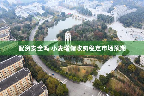 配资安全吗 小麦增储收购稳定市场预期