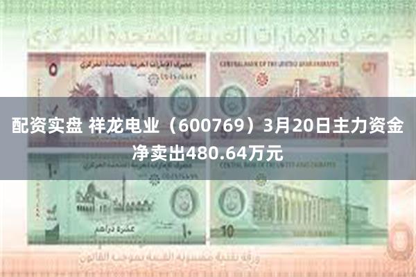 配资实盘 祥龙电业（600769）3月20日主力资金净卖出480.64万元