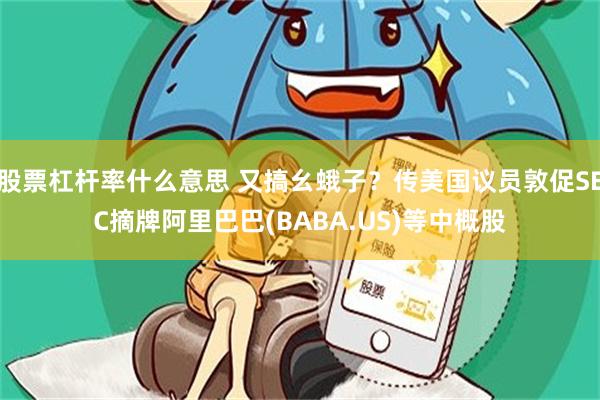 股票杠杆率什么意思 又搞幺蛾子？传美国议员敦促SEC摘牌阿里巴巴(BABA.US)等中概股