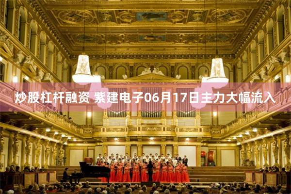 炒股杠杆融资 紫建电子06月17日主力大幅流入
