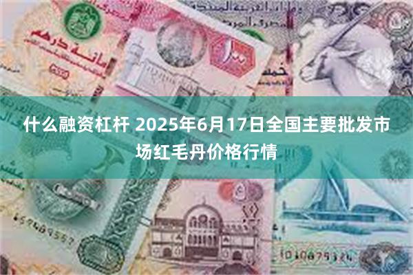 什么融资杠杆 2025年6月17日全国主要批发市场红毛丹价格行情
