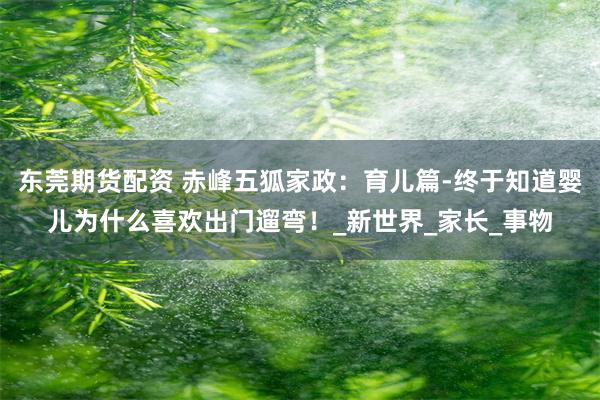 东莞期货配资 赤峰五狐家政：育儿篇-终于知道婴儿为什么喜欢出门遛弯！_新世界_家长_事物