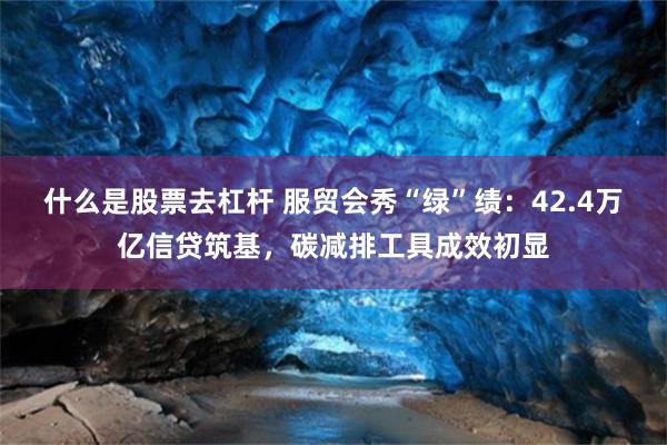 什么是股票去杠杆 服贸会秀“绿”绩：42.4万亿信贷筑基，碳减排工具成效初显